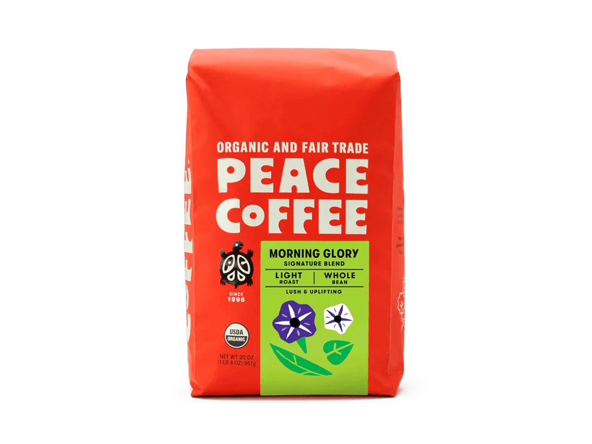 Morning Glory - Image 4